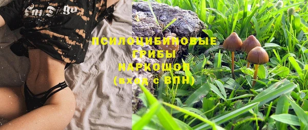 дурь Покров