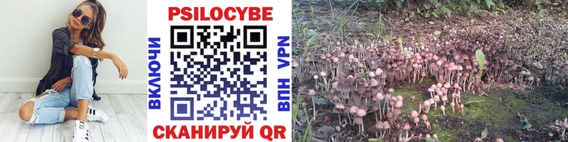 магазин продажи   Спасск  Галлюциногенные грибы Magic Shrooms 